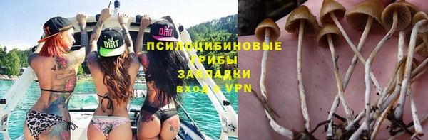 мяу мяу мука Беломорск