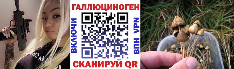 Галлюциногенные грибы мухоморы купить Вытегра