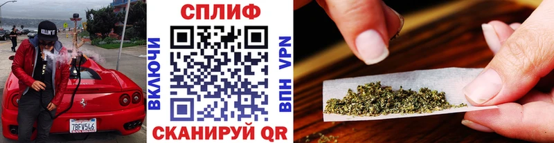 Конопля MAZAR  где найти наркотики  Вытегра 